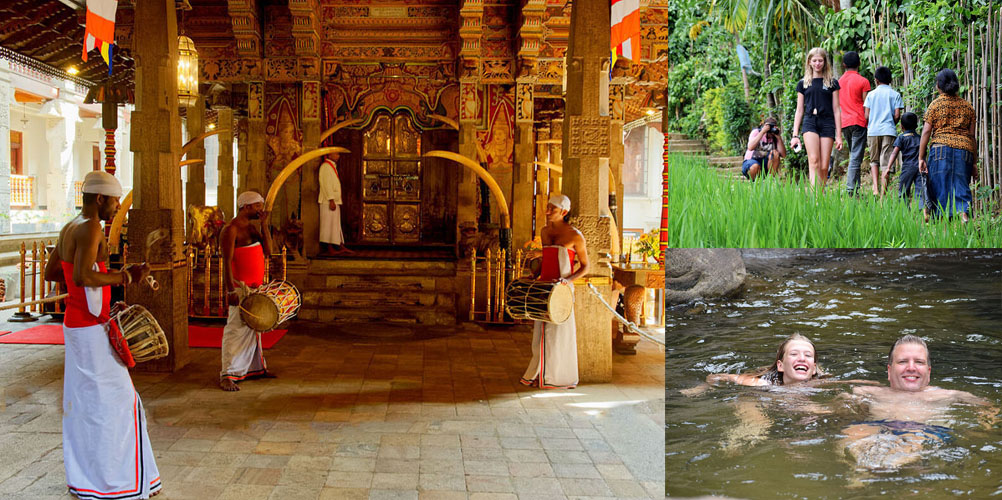 Three weeks tour in Sri Lanka - itinerary | Rock Lanka Tours